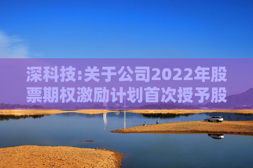 深科技:关于公司2022年股票期权激励计划首次授予股票期权第一个行权期行权条件成就的公告  第1张