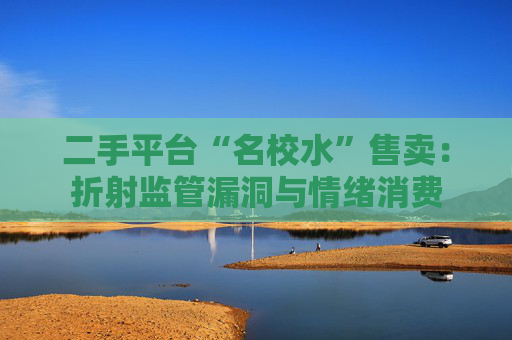 二手平台“名校水”售卖：折射监管漏洞与情绪消费