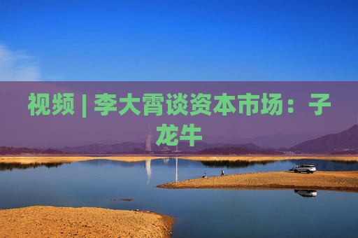 视频 | 李大霄谈资本市场：子龙牛