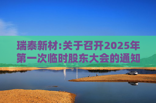 瑞泰新材:关于召开2025年第一次临时股东大会的通知