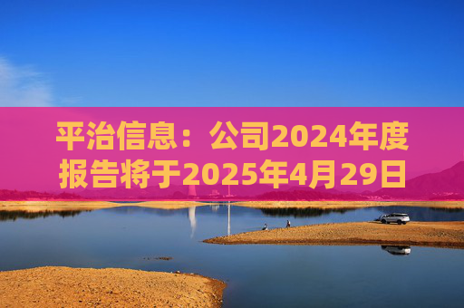 平治信息：公司2024年度报告将于2025年4月29日披露
