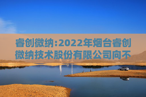 睿创微纳:2022年烟台睿创微纳技术股份有限公司向不特定对象发行可转换公司债券定期跟踪评级报告  第1张