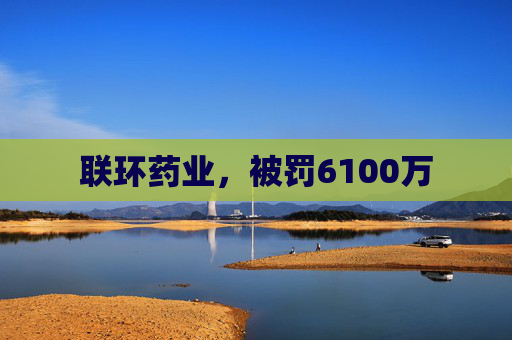 联环药业，被罚6100万