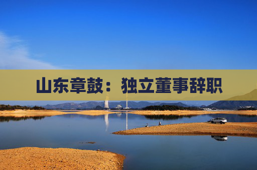 山东章鼓：独立董事辞职  第1张