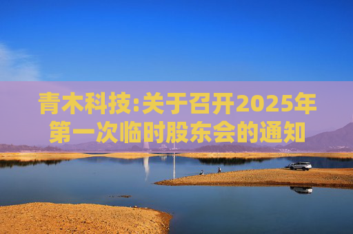 青木科技:关于召开2025年第一次临时股东会的通知
