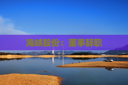 海峡股份：董事辞职  第1张