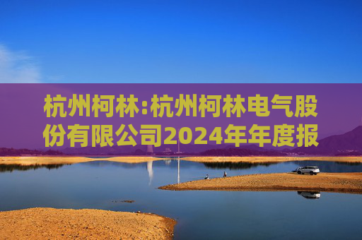 杭州柯林:杭州柯林电气股份有限公司2024年年度报告