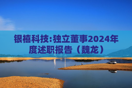 银禧科技:独立董事2024年度述职报告（魏龙）