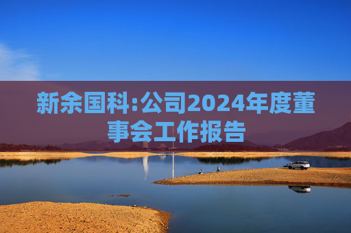 新余国科:公司2024年度董事会工作报告