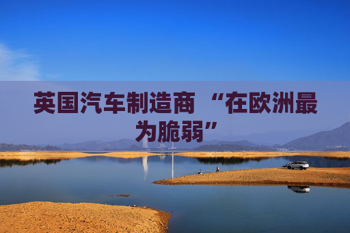 英国汽车制造商 “在欧洲最为脆弱”