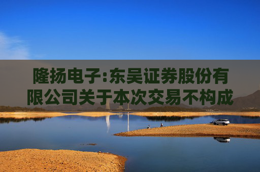 隆扬电子:东吴证券股份有限公司关于本次交易不构成上市公司重大资产重组管理办法第十三条规定的重组上市情形的核查意见