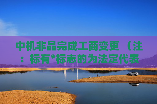 中机非晶完成工商变更 （注：标有*标志的为法定代表人）1 徐继斌* 董事长2 张川 董事3 刘文仲 董事4 郭志勇 董事5 何力 董事6 黄效东 总经理7 甄富海 监事会主席8 徐磊 监事9 张锦 监事任董事（理事）、经理、监事  第1张