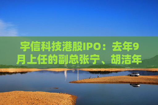 宇信科技港股IPO：去年9月上任的副总张宁、胡洁年薪百万，2015年上任的副总郑春年薪73.5万