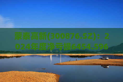 蒙泰高新(300876.SZ)：2024年度净亏损6454.596万元  第1张