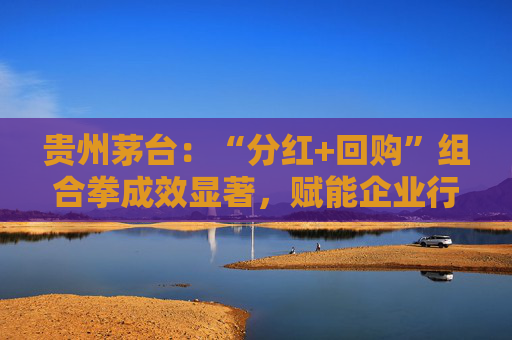 贵州茅台:“分红+回购”组合拳成效显著,赋能企业行稳致远 第1张 贵州茅台:“分红+回购”组合拳成效显著,赋能企业行稳致远 第1张