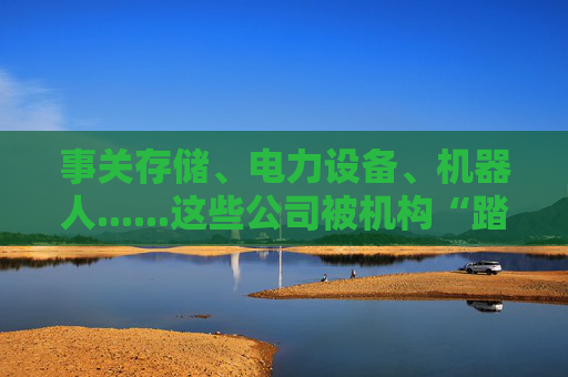事关存储、电力设备、机器人......这些公司被机构“踏破门槛”