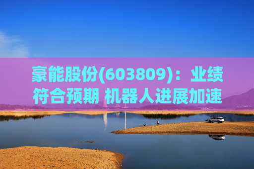 豪能股份(603809)：业绩符合预期 机器人进展加速
