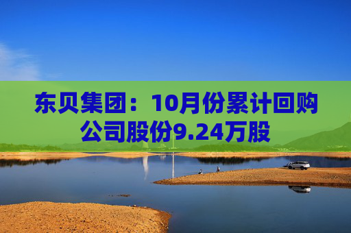 东贝集团：10月份累计回购公司股份9.24万股  第1张