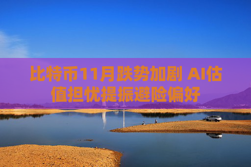 比特币11月跌势加剧 AI估值担忧提振避险偏好