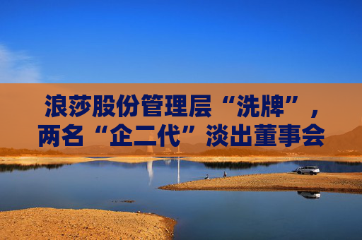 浪莎股份管理层“洗牌”，两名“企二代”淡出董事会  第1张