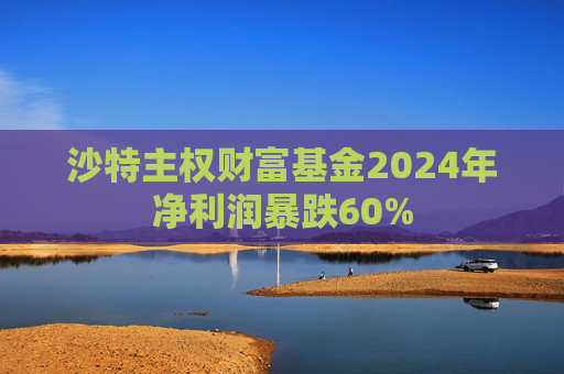 沙特主权财富基金2024年净利润暴跌60%