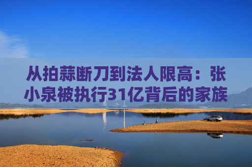 从拍蒜断刀到法人限高：张小泉被执行31亿背后的家族企业治理黑洞  第1张