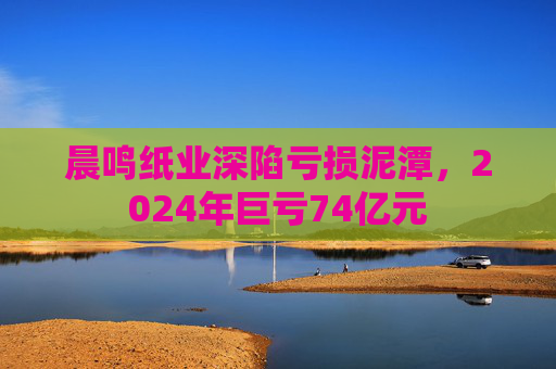 晨鸣纸业深陷亏损泥潭，2024年巨亏74亿元