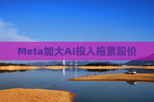 Meta加大AI投入拖累股价