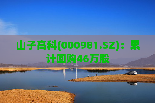 山子高科(000981.SZ):累计回购46万股 第1张 山子高科(000981.SZ):累计回购46万股 第1张