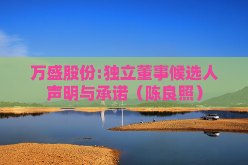 万盛股份:独立董事候选人声明与承诺（陈良照）