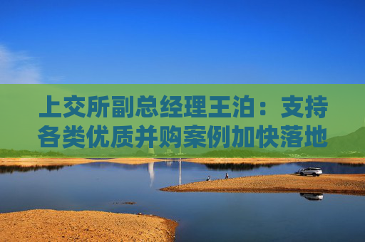 上交所副总经理王泊：支持各类优质并购案例加快落地 推动形成既“放得活”又“管得好”的并购市场秩序  第1张