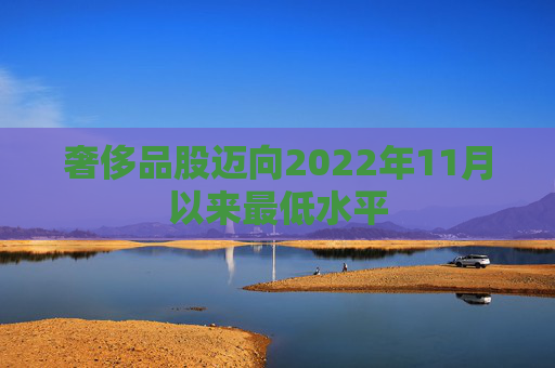 奢侈品股迈向2022年11月以来最低水平  第1张