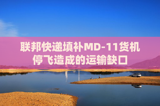 联邦快递填补MD-11货机停飞造成的运输缺口  第1张