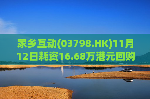 家乡互动(03798.HK)11月12日耗资16.68万港元回购11.8万股