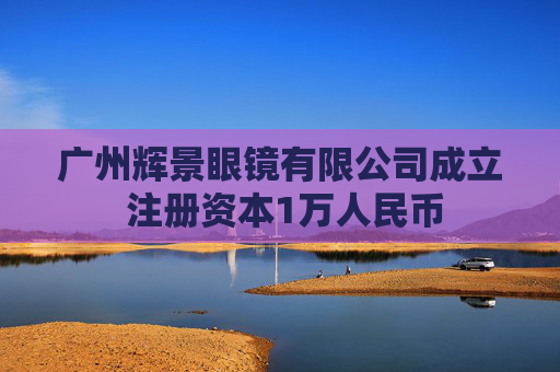 广州辉景眼镜有限公司成立 注册资本1万人民币  第1张