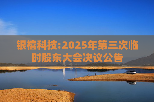 银禧科技:2025年第三次临时股东大会决议公告