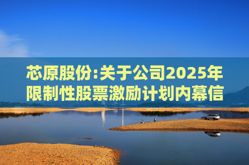 芯原股份:关于公司2025年限制性股票激励计划内幕信息知情人买卖公司股票情况的自查报告