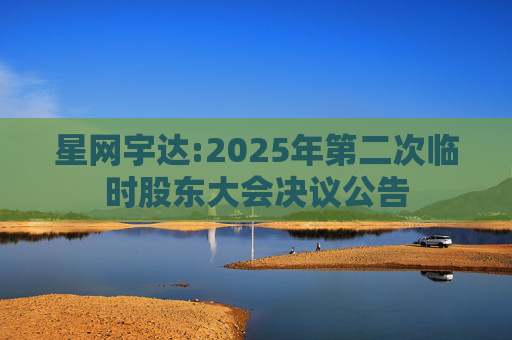 星网宇达:2025年第二次临时股东大会决议公告