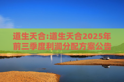 道生天合:道生天合2025年前三季度利润分配方案公告