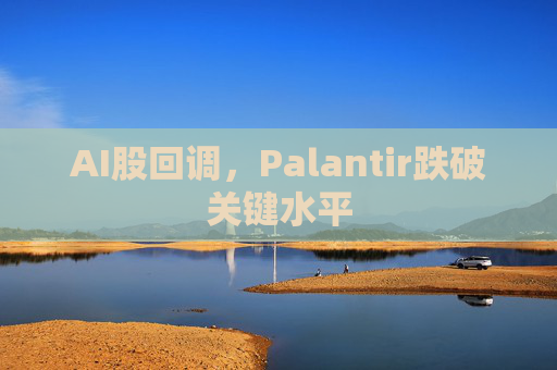 AI股回调，Palantir跌破关键水平