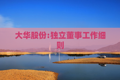 大华股份:独立董事工作细则