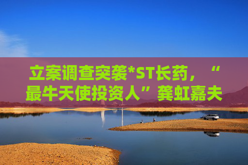立案调查突袭*ST长药，“最牛天使投资人”龚虹嘉夫妇5.93亿元投资再临挑战  第1张