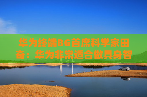 华为终端BG首席科学家田奇：华为非常适合做具身智能  第1张