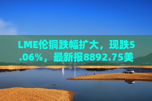 LME伦铜跌幅扩大，现跌5.06%，最新报8892.75美元/吨