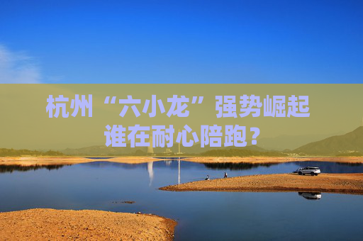 杭州“六小龙”强势崛起 谁在耐心陪跑？