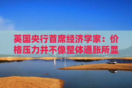 英国央行首席经济学家：价格压力并不像整体通胀所显示的那样强