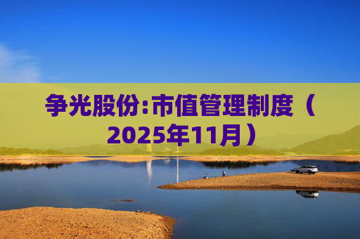 争光股份:市值管理制度（2025年11月）