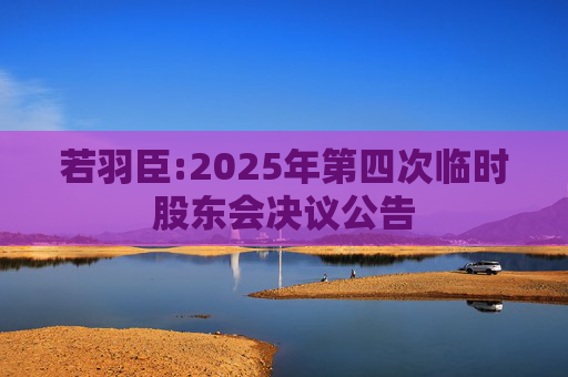 若羽臣:2025年第四次临时股东会决议公告