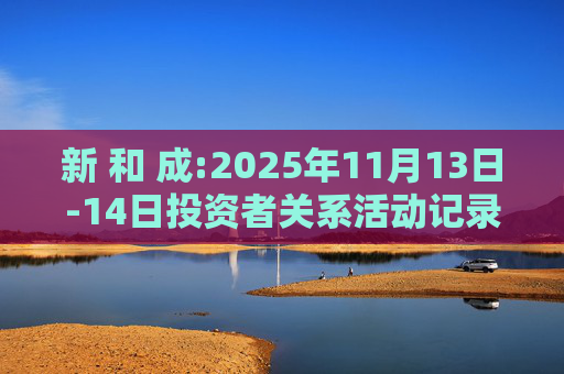 新 和 成:2025年11月13日-14日投资者关系活动记录表