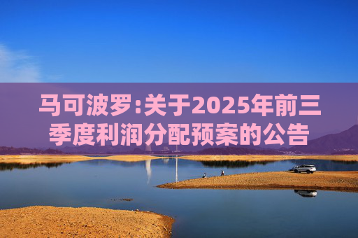 马可波罗:关于2025年前三季度利润分配预案的公告  第1张